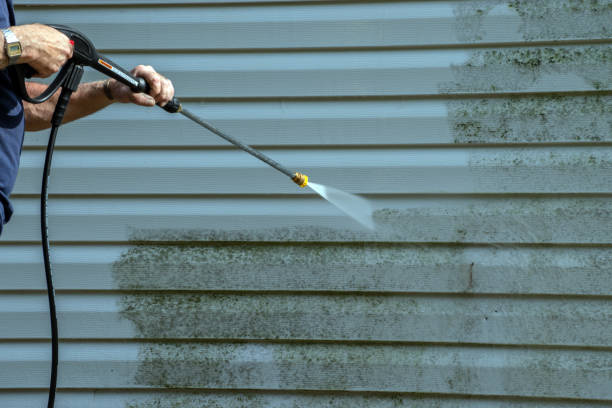 Best Garage Pressure Washing  in Lena, IL