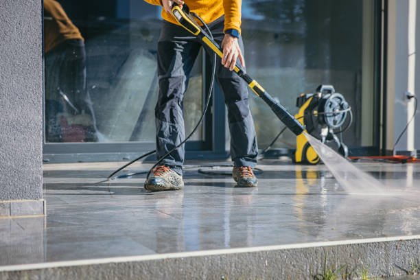 Best Roof Pressure Washing  in Lena, IL