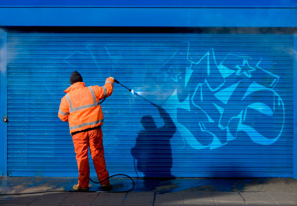 Best Best Pressure Washing Companies  in Lena, IL