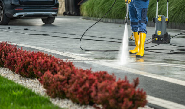 Best Affordable Power Washing  in Lena, IL