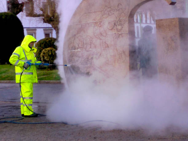 Best Pressure Washing Near Me  in Lena, IL