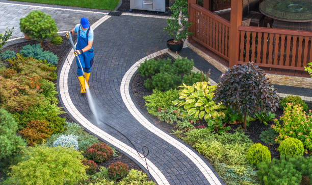 Best Garage Pressure Washing  in Lena, IL